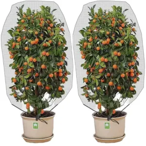 1pc insect bird barrier netting mesh with drawstring garden bugnetting plant cover fruit tree net for protect plant fruits citr